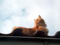 Flop en Spook  _06-05-13_24